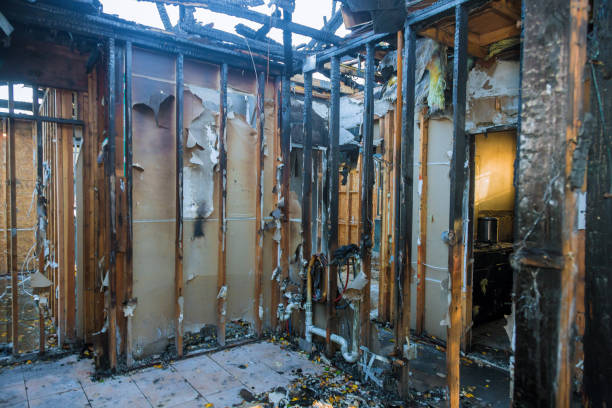 Professional Soot Cleanup technician working in Hockinson, WA